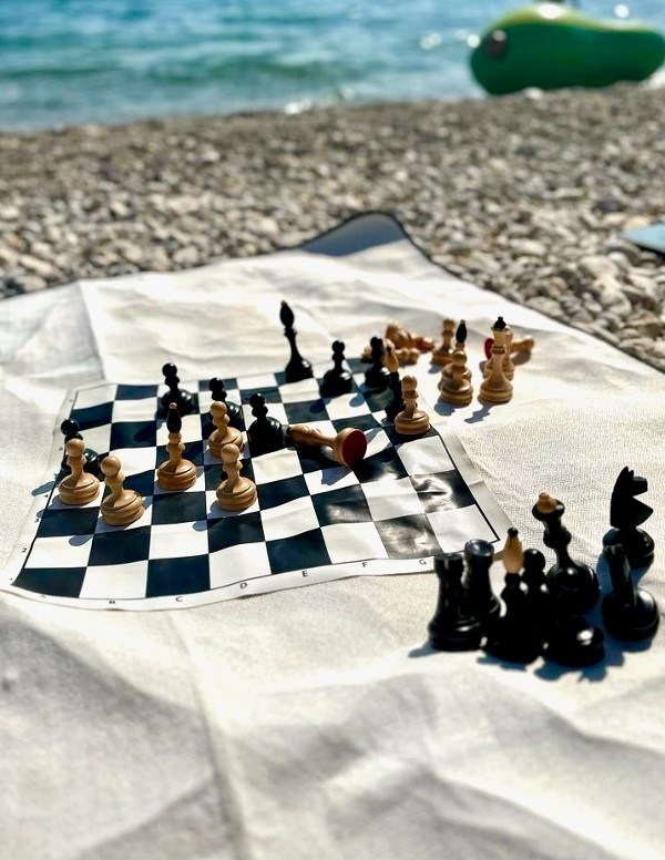 finding purpose summer chess2