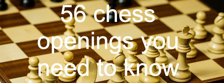 56 chess openings you need to know