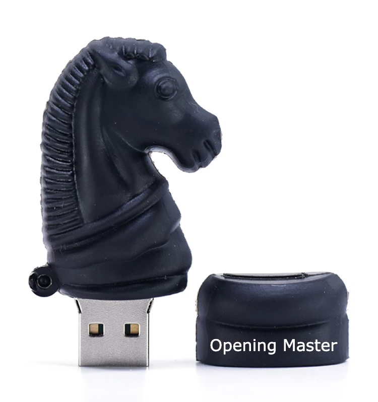 USB key Openingmaster