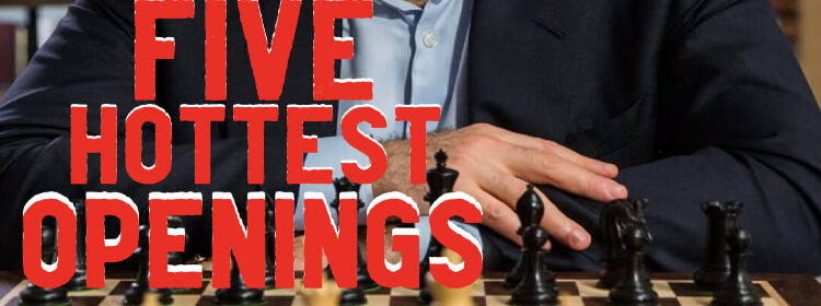 Chess Opening Secrets Revealed*: Chess: Understanding the Caro